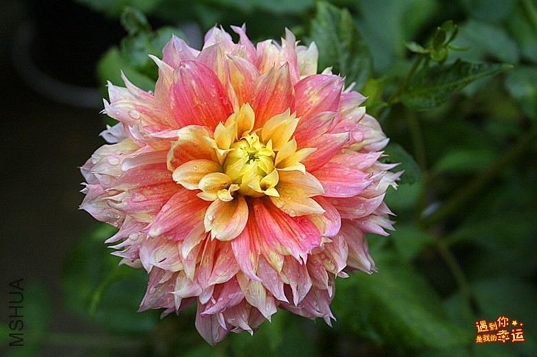 ��Ƭ 045_����.jpg