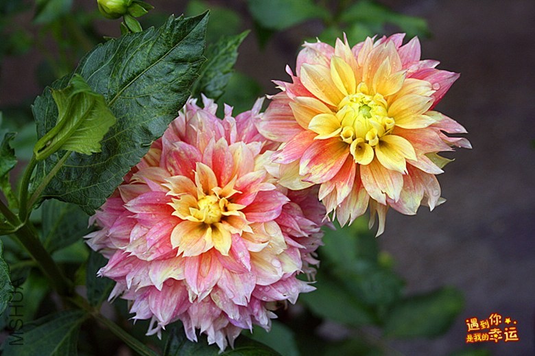 ��Ƭ 048_����.jpg