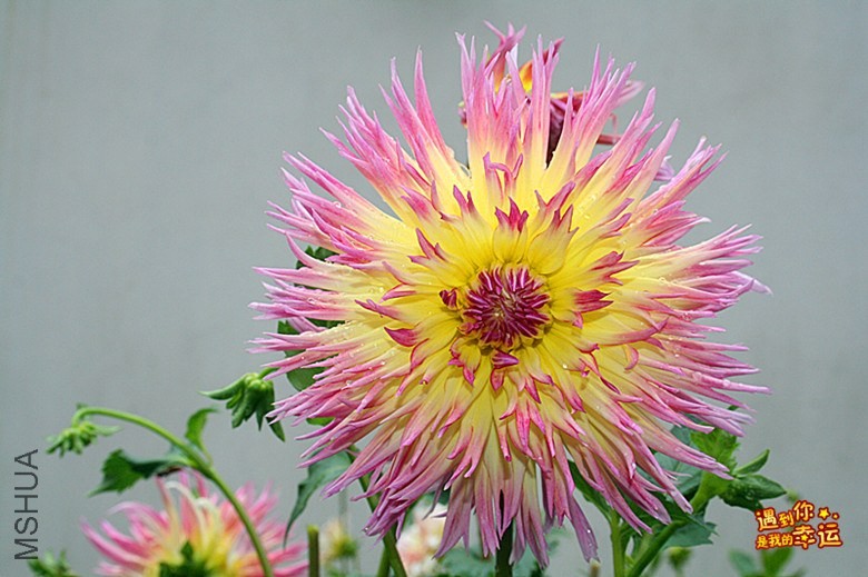 ��Ƭ 049_����.jpg