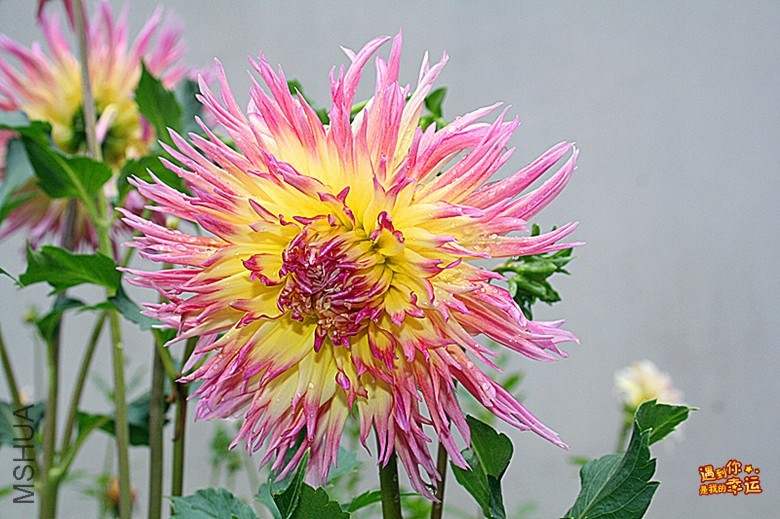 ��Ƭ 051_����.jpg