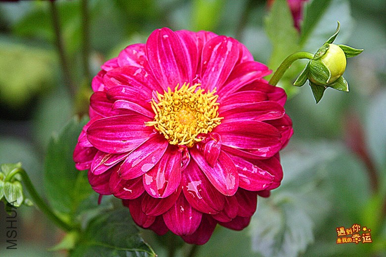 ��Ƭ 055_����.jpg