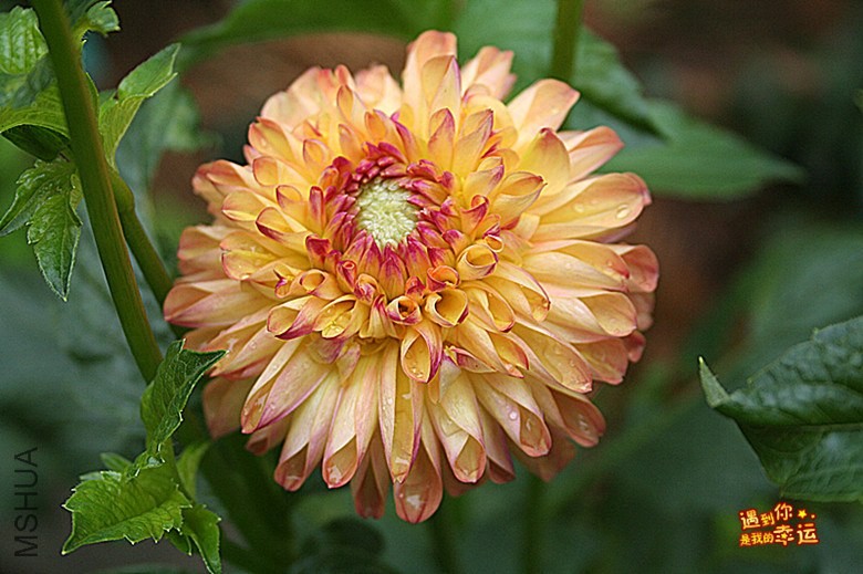 ��Ƭ 059_����.jpg