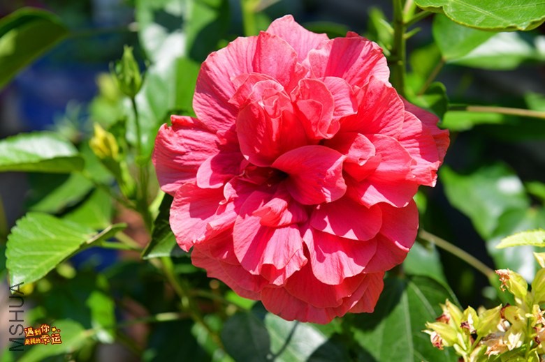 ��Ƭ 001_����.jpg