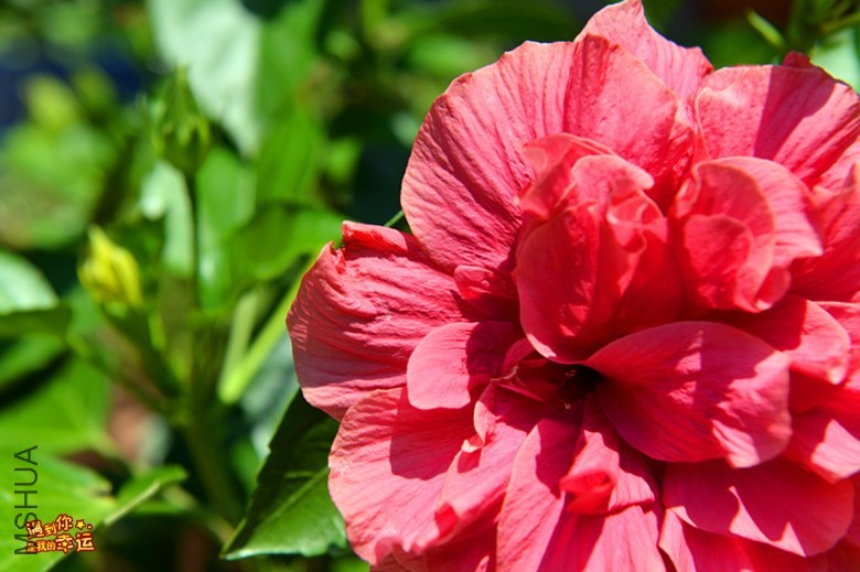 ��Ƭ 002_����.jpg