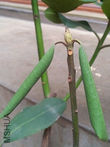 IMG20130727183333.jpg
