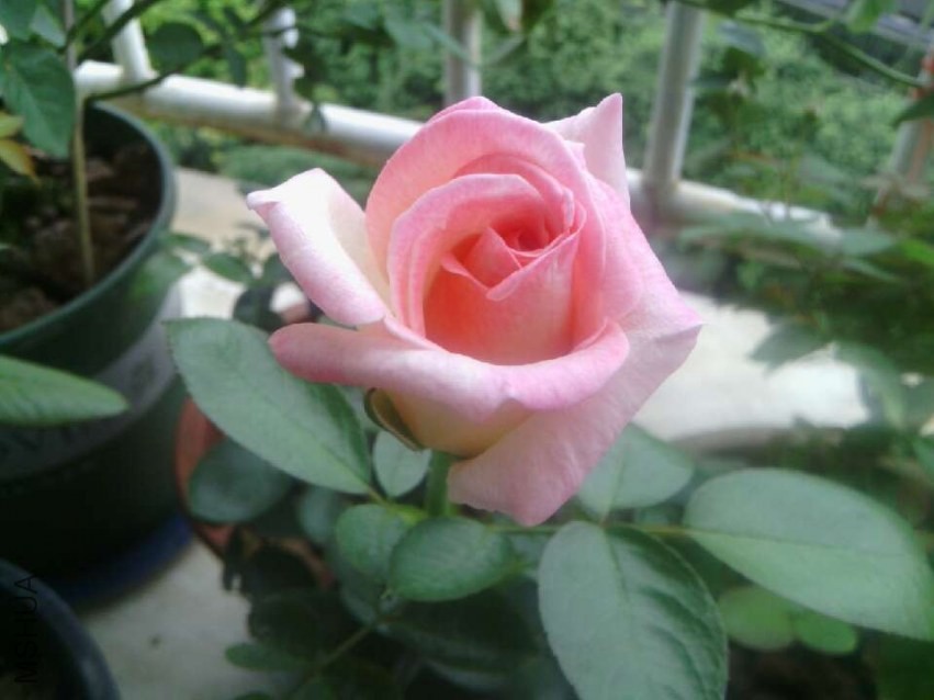 QQͼƬ20130728132230.jpg