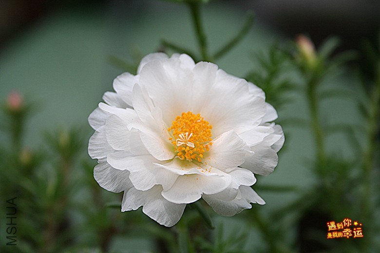 ��Ƭ 146_����.jpg