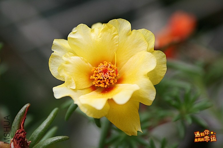 ��Ƭ 147_����.jpg