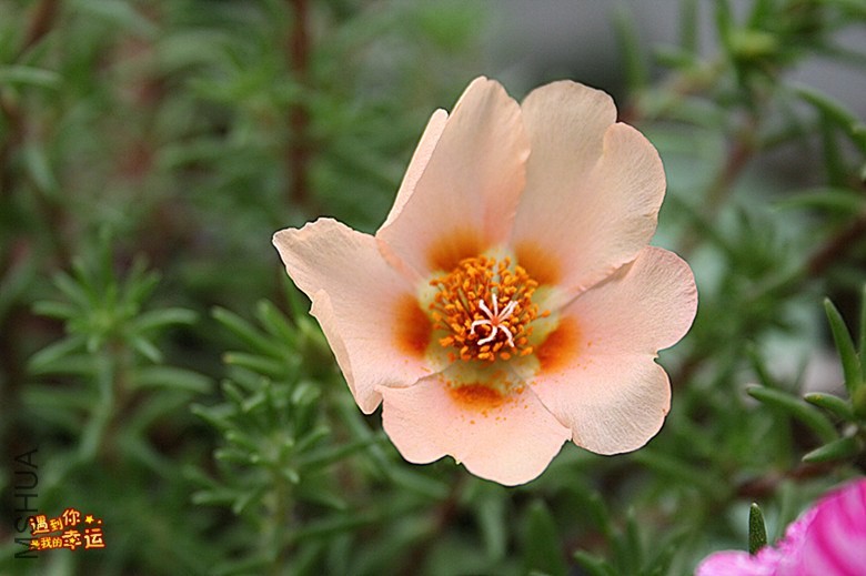 ��Ƭ 152_����.jpg