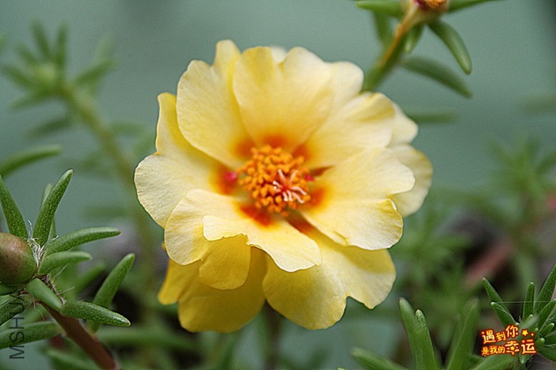 ��Ƭ 155_����.jpg