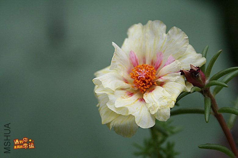 ��Ƭ 157_����.jpg