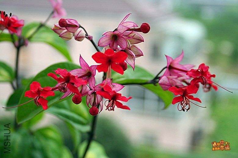 ��Ƭ 174_����.jpg