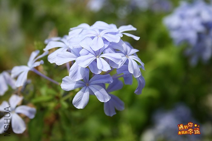 ��Ƭ 052_����.jpg