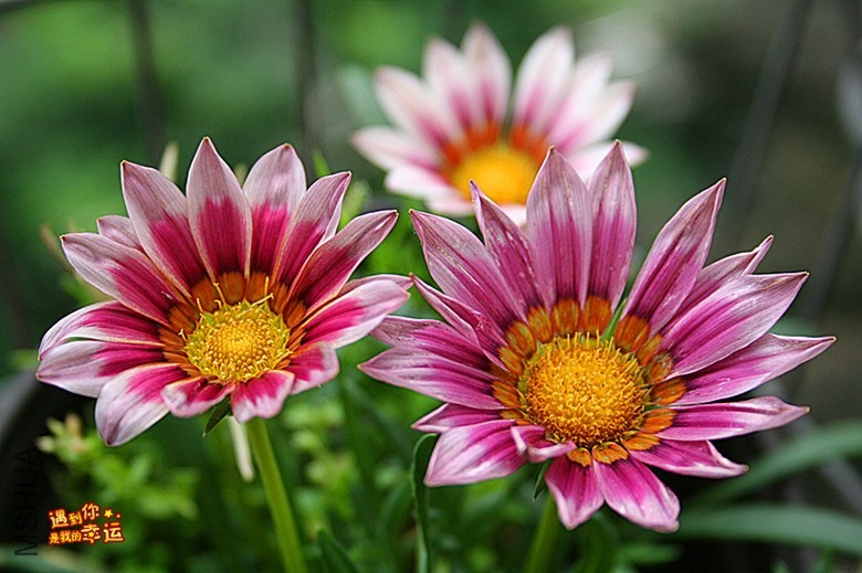 ��Ƭ 198_����.jpg