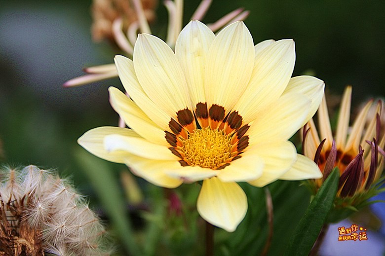 ��Ƭ 202_����.jpg