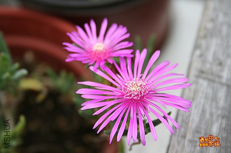 ��Ƭ 196_����.jpg