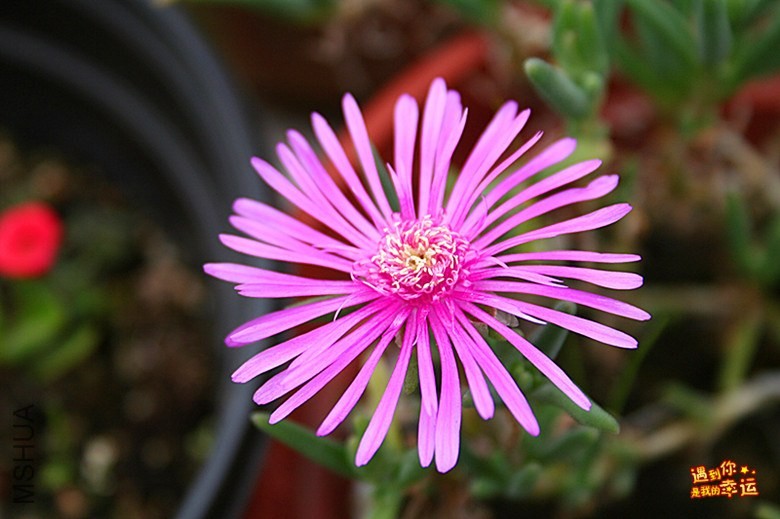 ��Ƭ 197_����.jpg