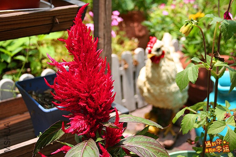 ��Ƭ 113_����.jpg