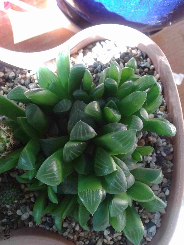 2013-07-17 18.37.31.jpg