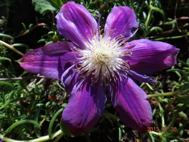 DSC00513.JPG