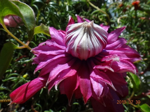 DSC00516.JPG