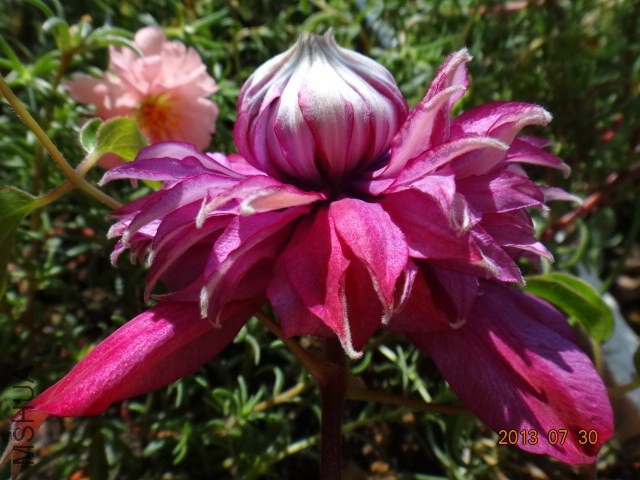 DSC00518.JPG