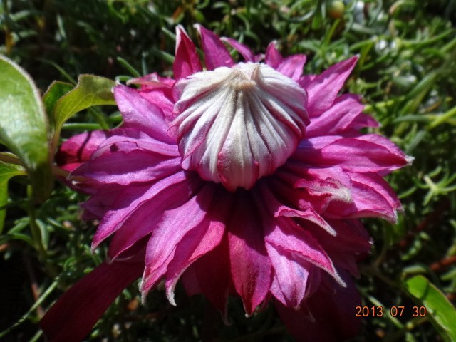 DSC00522.JPG