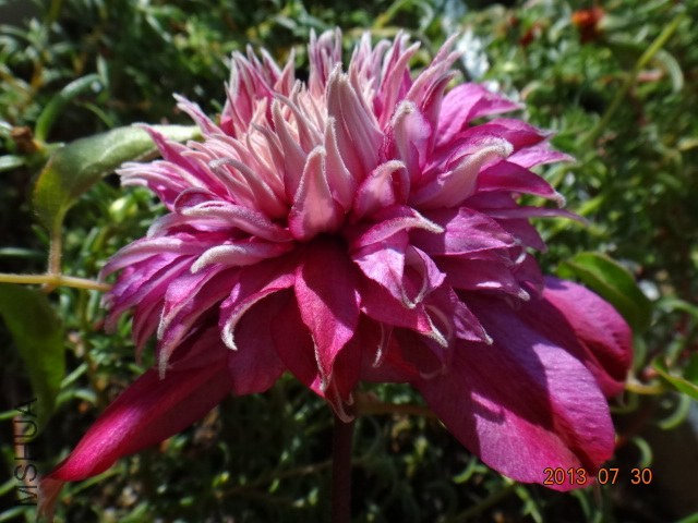 DSC00525.JPG