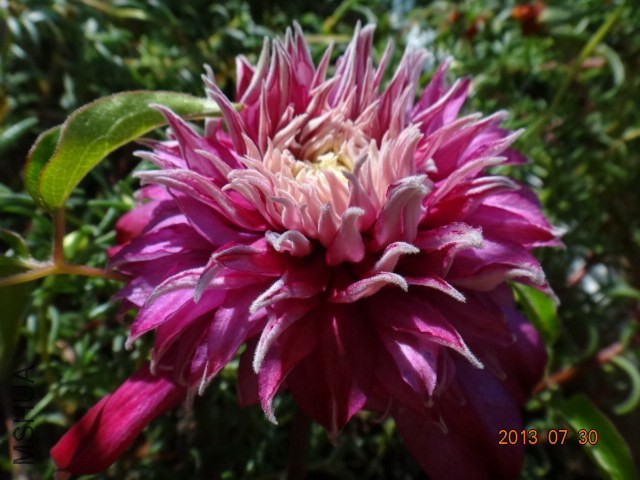 DSC00524.JPG
