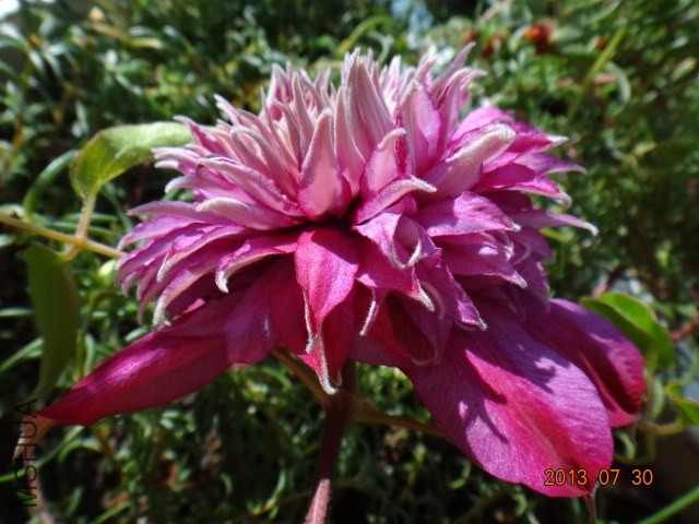 DSC00527.JPG