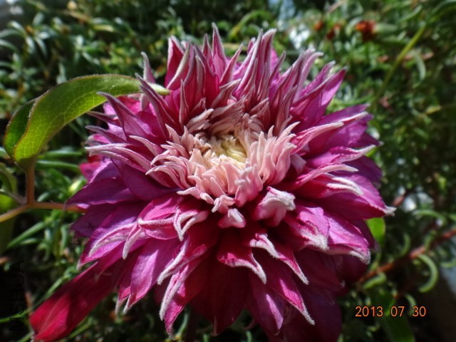 DSC00529.JPG