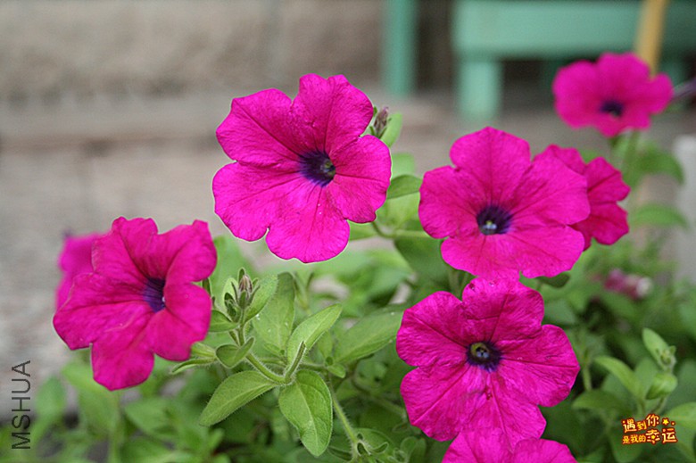 ��Ƭ 003_����.jpg