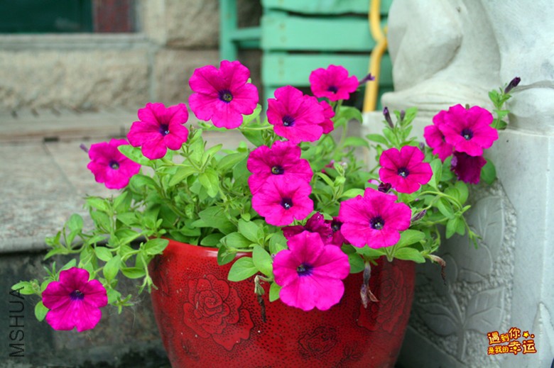 ��Ƭ 001_����.jpg