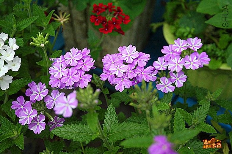 ��Ƭ 007_����.jpg