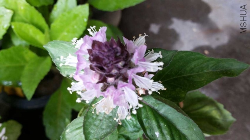 QQͼƬ20130730131104.jpg