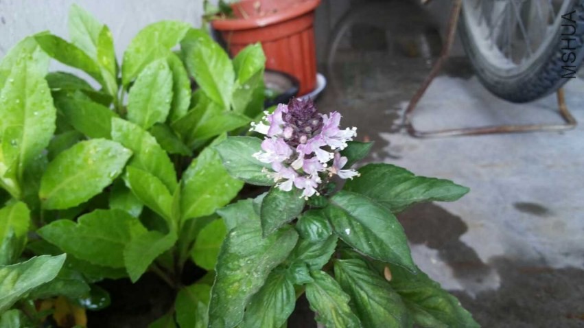 QQͼƬ20130730131111.jpg