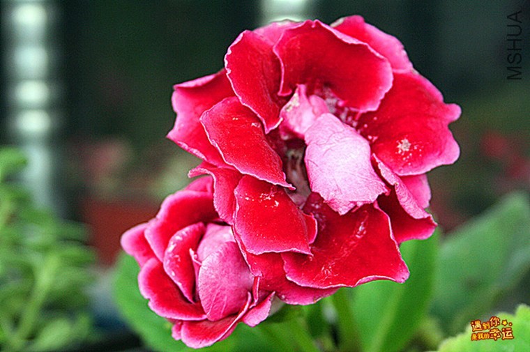 ��Ƭ 023_����_����.jpg