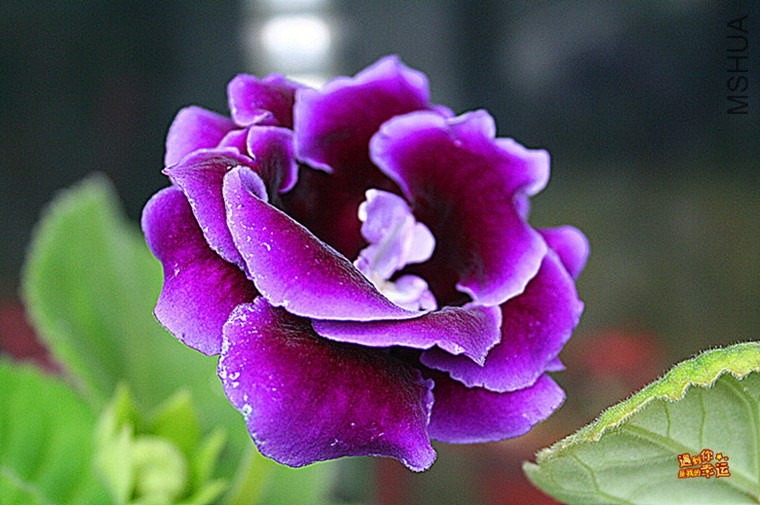 ��Ƭ 025_����_����.jpg