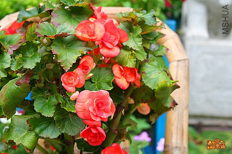 ��Ƭ 035_����.jpg