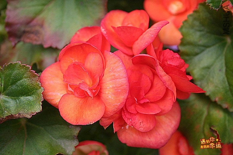 ��Ƭ 037_����.jpg