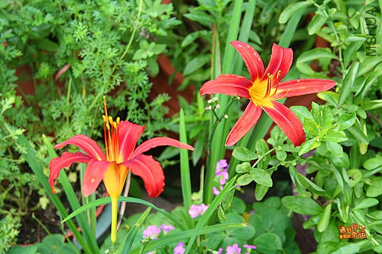 ��Ƭ 031_����.jpg