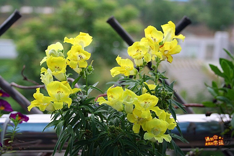 ��Ƭ 074_����.jpg