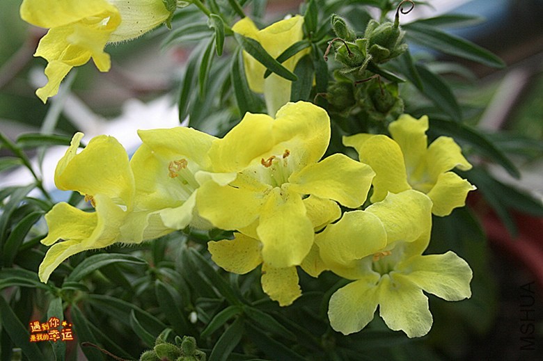 ��Ƭ 076_����.jpg