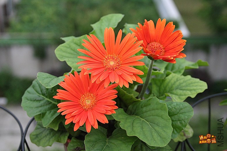 ��Ƭ 044_����.jpg