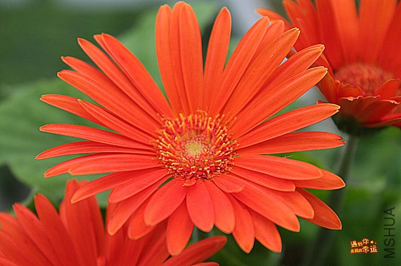 ��Ƭ 045_����.jpg