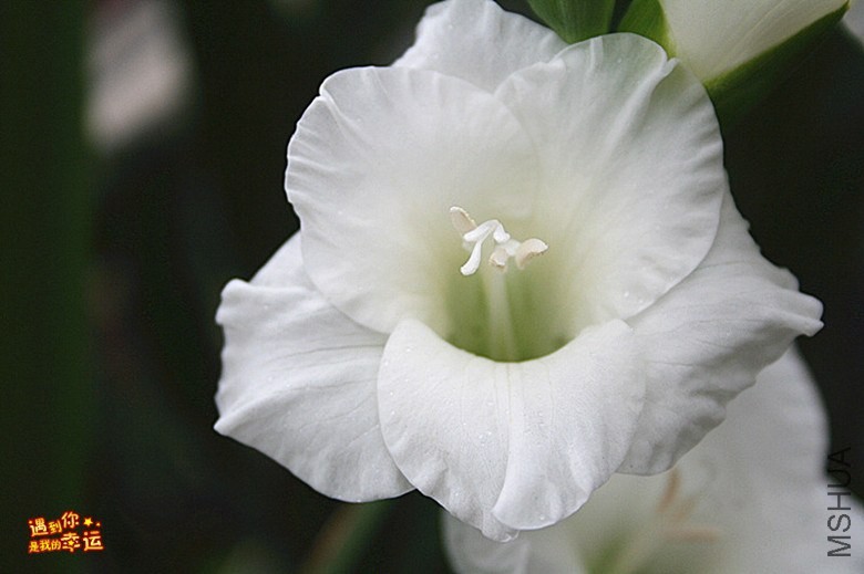 ��Ƭ 067_����.jpg