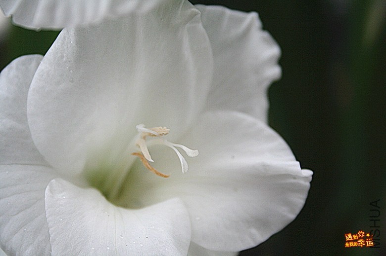 ��Ƭ 068_����.jpg