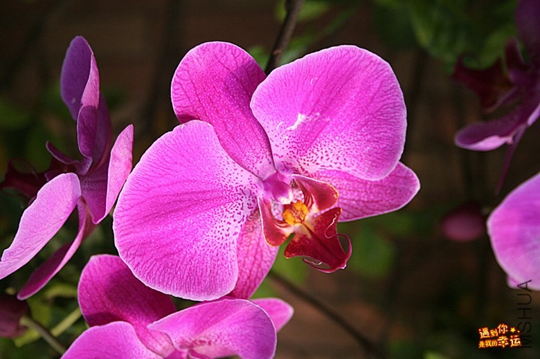 ��Ƭ 110_����.jpg