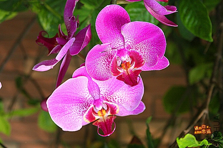 ��Ƭ 111_����.jpg