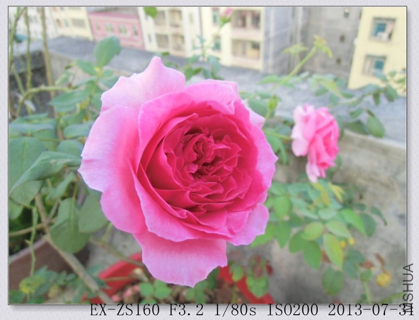 CIMG0064_����.jpg